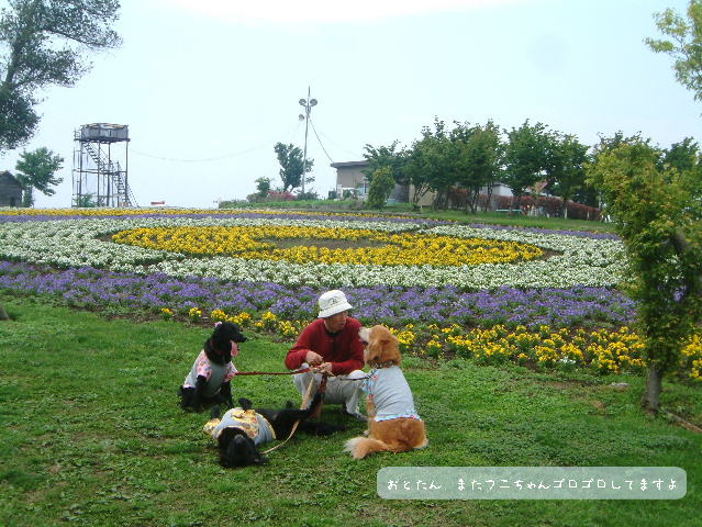 c0017311_1056225.jpg