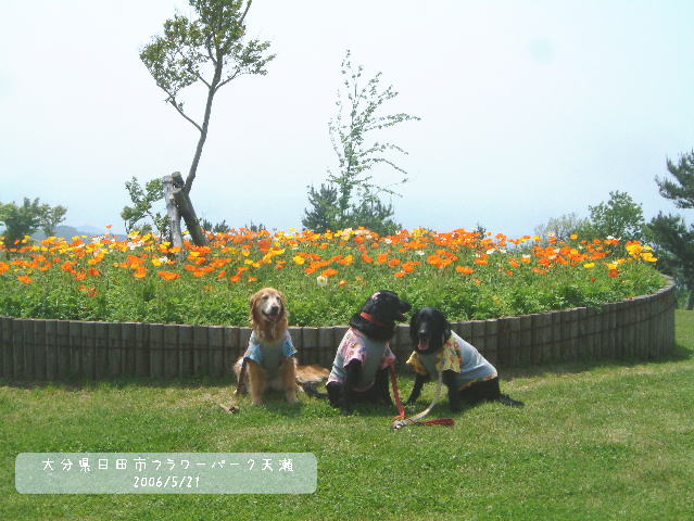 c0017311_1111740.jpg