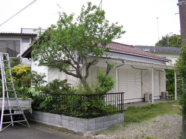 b0096418_17142879.jpg