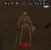 f0079719_5383494.jpg