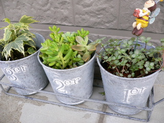 c0047221_16311581.jpg