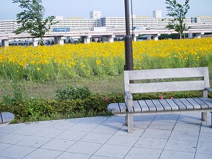 b0006329_2137423.jpg
