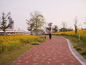 b0006329_21374333.jpg
