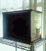 d0048332_916662.gif