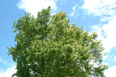 c0069036_22271791.jpg