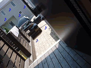 f0018144_14105043.gif