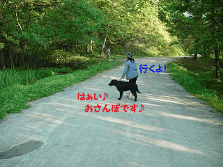 f0018144_14234768.gif