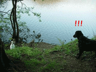 f0018144_14252533.gif