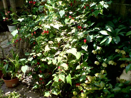 e0034047_0282399.jpg