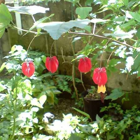 e0034047_0301852.jpg