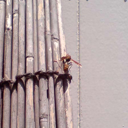 e0034047_0314360.jpg