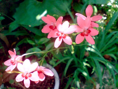 e0034047_8223799.jpg