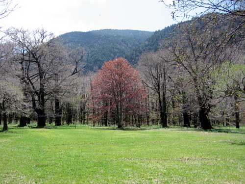f0007956_105452.jpg