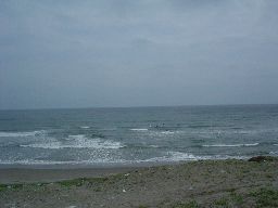 d0043161_22391325.jpg