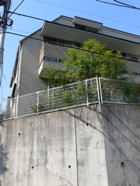 b0074862_228121.jpg