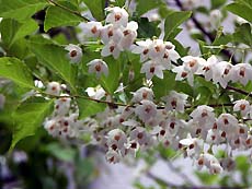 b0044663_10475387.jpg