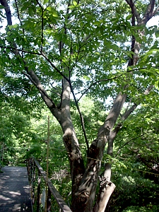 b0044663_13215423.jpg