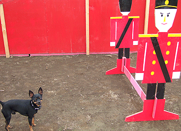 c0012571_1233091.gif