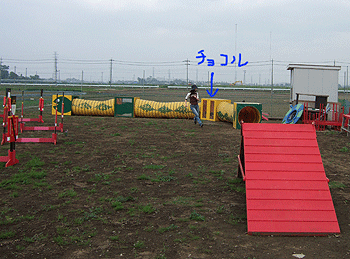 c0012571_12494015.gif