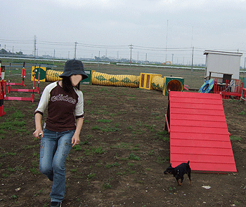 c0012571_1251070.gif