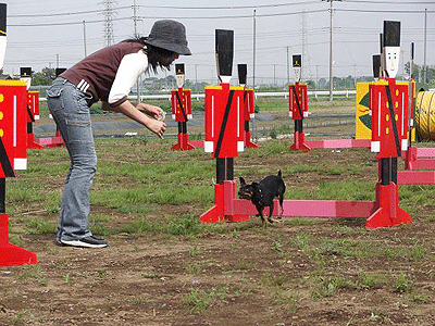 c0012571_17501350.gif