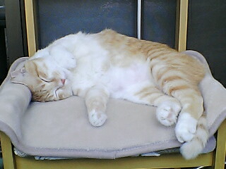 f0095271_2154773.jpg