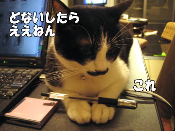 b0041182_20591322.jpg