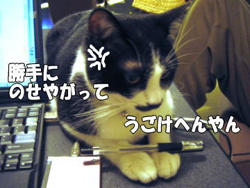 b0041182_20593623.jpg