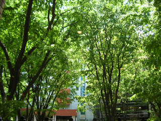 c0029190_8231549.jpg