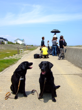 f0001698_2154277.jpg