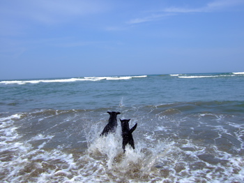 f0001698_2465171.jpg