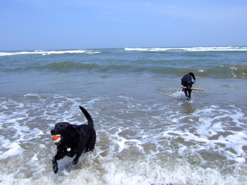 f0001698_2505369.jpg