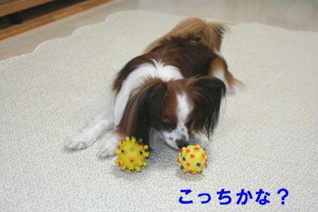 c0044199_2345460.jpg