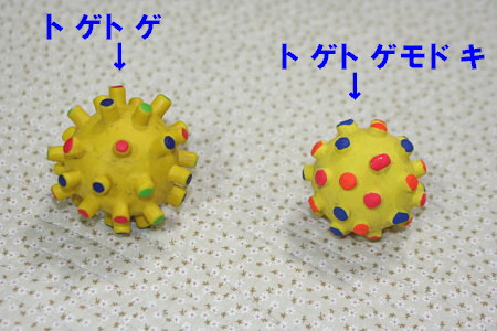 c0044199_2353346.jpg