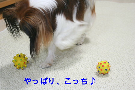 c0044199_235696.jpg