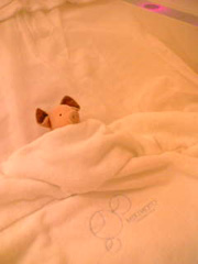 e0037001_10501251.jpg