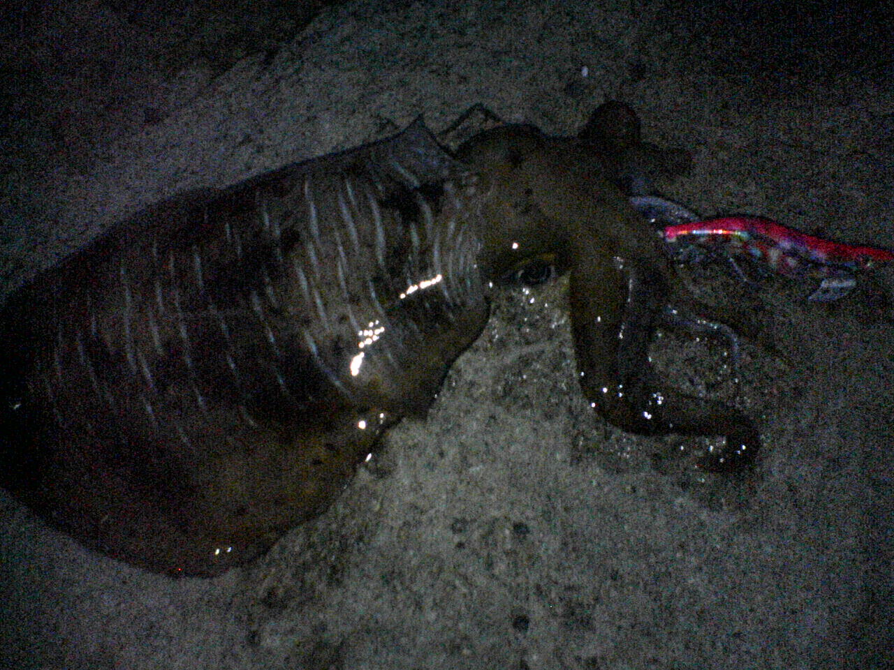 f0035404_22583379.jpg