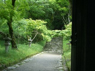 b0061107_050283.jpg