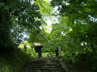 b0061107_050799.jpg