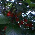 f0064017_20274155.jpg
