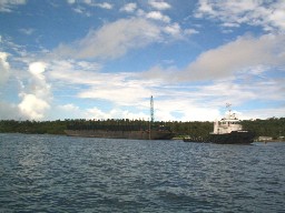 a0043520_0231521.jpg