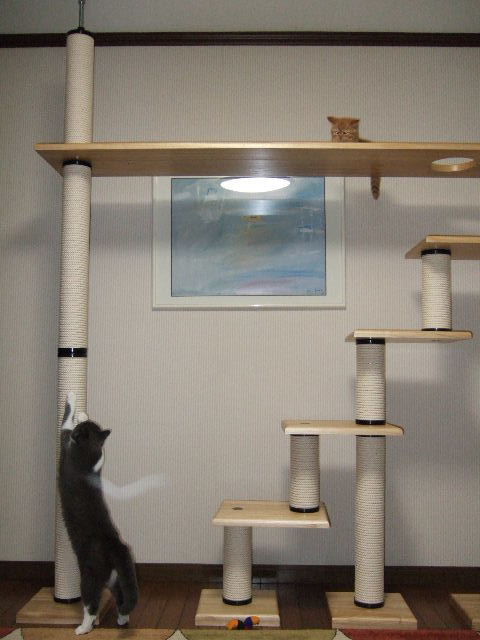 f0032020_1371240.jpg