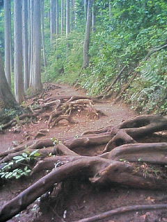 f0055322_8341292.jpg