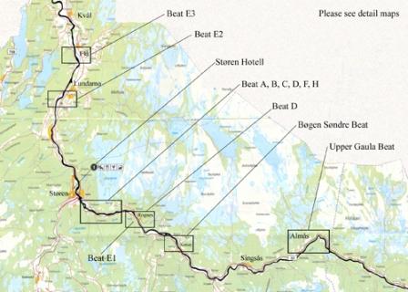 e0063923_1342929.jpg