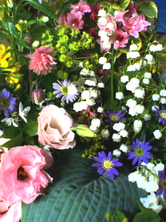 e0080524_037215.jpg