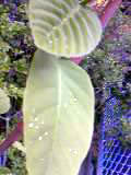 a0020929_10543239.jpg