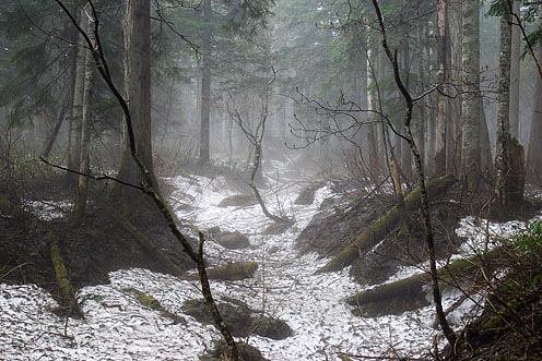 e0025030_16144416.jpg