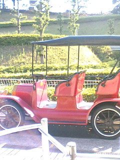 b0080033_1185568.jpg