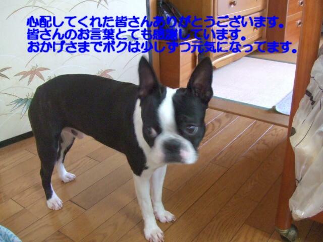 f0059334_9533056.jpg