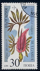 f0082348_17144826.jpg